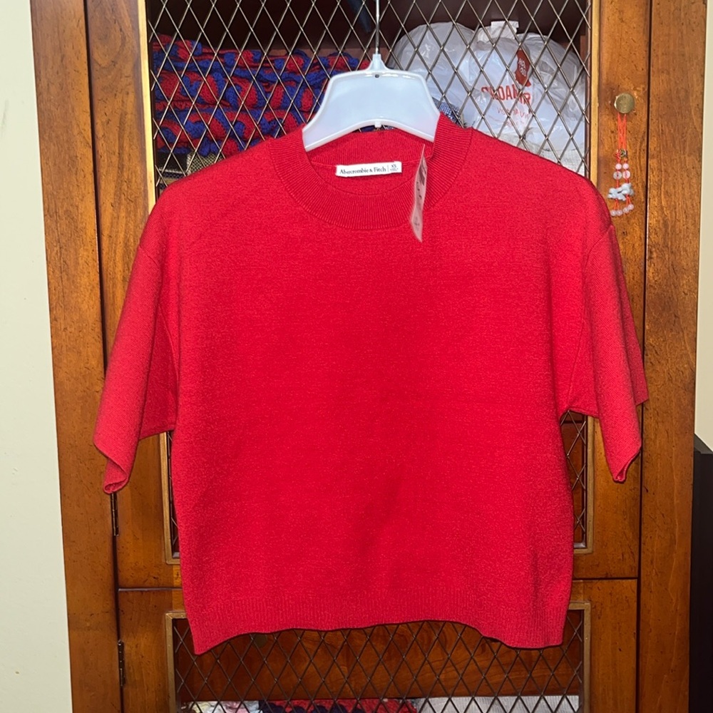 Abercrombie & Fitch knit sweater